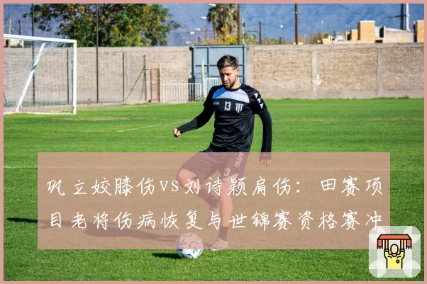 巩立姣膝伤vs刘诗颖肩伤：田赛项目老将伤病恢复与世锦赛资格赛冲刺